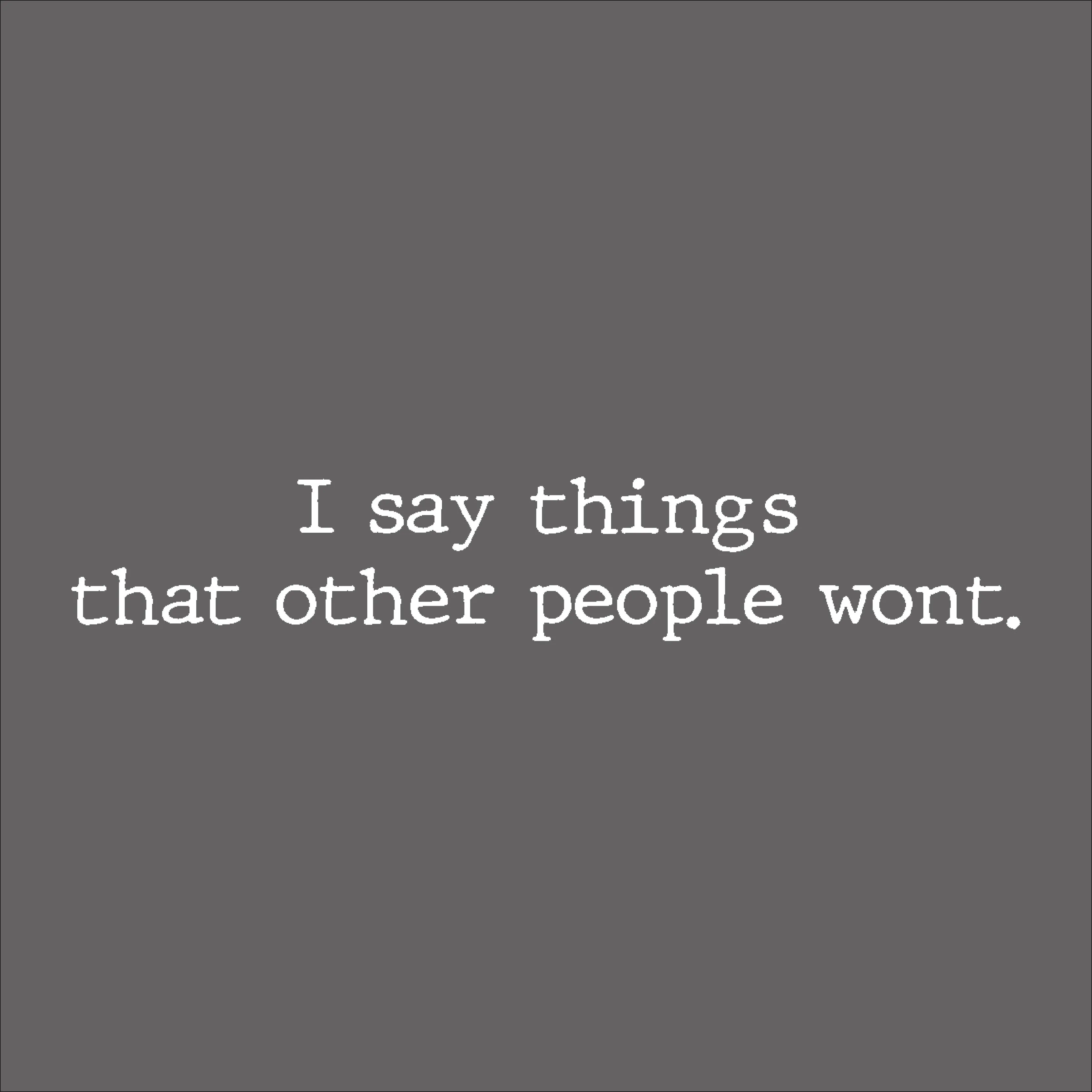 I say thing's that other people wont.