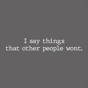 I say thing's that other people wont.