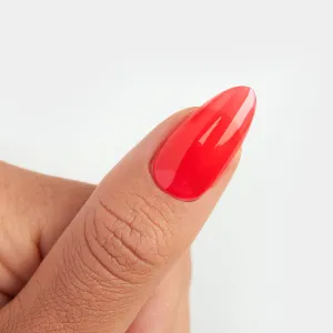 Watermelon Jelly